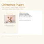 Chihuahua Puppy – amigurumi dog crochet pattern (photo 3)