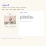 Squid – no-sew amigurumi crochet pattern (photo 3)