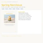 Daffodil Buddy – easter crochet pattern (photo 3)