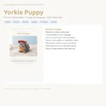 Yorkie Puppy – crochet puppy patterns (photo 3)