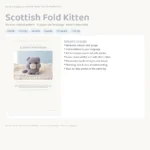 Scottish Fold Kitten – crochet cat (photo 3)