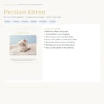 Persian Kitten – crochet cats pattern (photo 3)