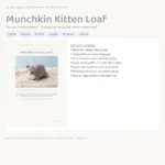 Munchkin Kitten – cat pattern crochet (photo 3)