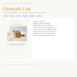 Cheetah Cub – crochet bear pattern (photo 3)