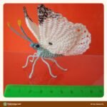 White Butterfly crochet pattern