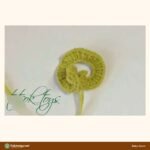 Baby Acorn crochet pattern